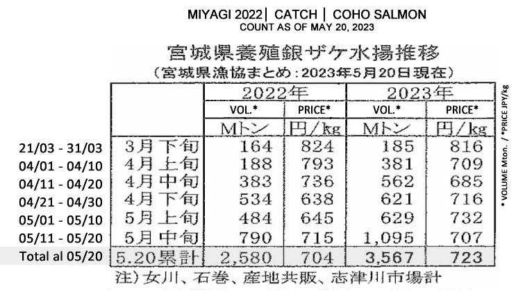ing-Miyagi-Captura de silver salmon cultivado FIS seafood_media.jpg